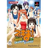 魔法先生ネギま!課外授業 乙女のドキドキ ビーチサイド