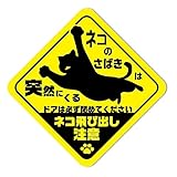 SignStore 猫の飛び出し注意喚起ステッカー 約14.5cm×14.5cm 緑 ビニール 日本製 car_character_11 (B2)