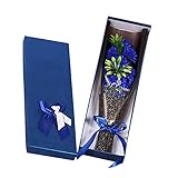 Firlar母の日ギフトカーネーション フレグランス シャボンフラワー 造花 ソープ 枯れない花 プレゼント 花束 結婚祝い 記念日　先生の日 誕生日　香りギフト お祝い ラッピング 石鹸花 11本