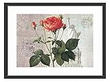kdnsgfdsブラックソリッド木製フレーム付きアートプリントpicture-vintage Flower Print Largeローズ植物プリント 16 Inch(33 x 43 cm) YS-00