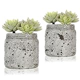 Miniリアルな人工グリーンSucculent Plants in Vintage Distressedグレーセラミックジャーポット、セットの2