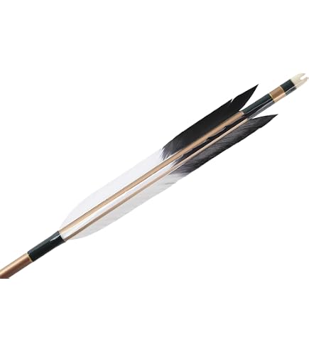 弓道 矢6本 99.5cm 2015 弓道専門店 翠山弓具店 suizan