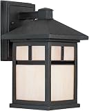 Forte Lighting 1773-01-04 Exterior Wall Light with Honey Glass Shades, Black [並行輸入品]