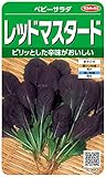 サカタのタネ 実咲野菜3683 レッドマスタード ベビーサラダ 00923683