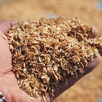 51k9ieMH-6L._AC_UL210_SR210,