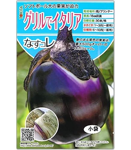 Amazon.co.jp: なす 種 【 縞むらさき 】 種子 小袋（約9粒） : DIY