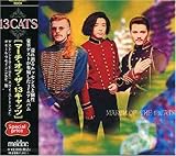 �}�[�`�E�I�u�E�U�E13 �L���b�c