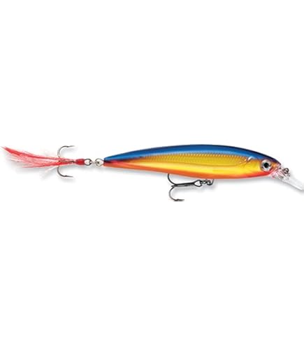 Amazon.co.jp: Rapala(ラパラ) ミノー Xラップ 8cm 7g クラウン CLN