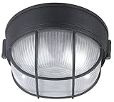 Canarm IOL17BK The Outdoor 1-Bulb Flush Mount Exterior Light with Frosted Glass Globe Black [並行輸入品]