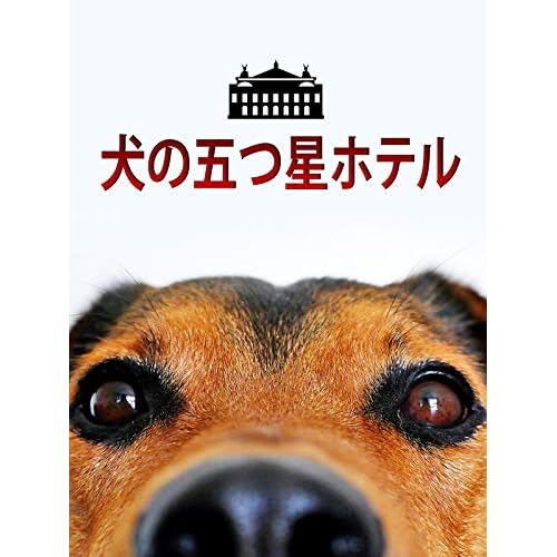 犬の五つ星ホテル