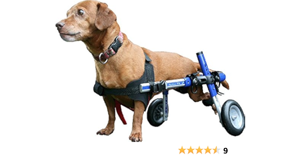Amazon 小型犬用の車椅子 ミニチュア ダックスフンド トイプードル シーズー Etc 色 ブルー Small Dog Walkin Wheelchair カート 通販