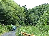 つけびの村 噂が5人を殺したのか? つけびの村 噂が5人を殺したのか?