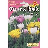 秋植え球根 お徳用 クロッカス15球入り 混合 (430303)