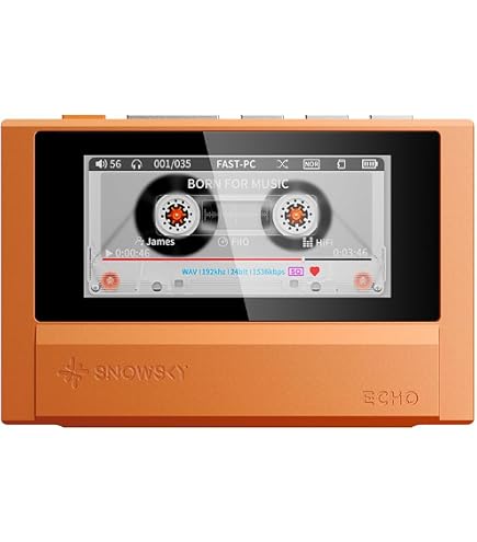 Amazon.co.jp: FIIO Snowsky ECHO MINI FIO-SSEMINI【日本正規販売店