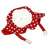 JamieRaeHats SH-REDD-WHTLR 12m-2Y
