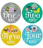 Lucy Darling Little Artist Monthtly Stickers by Lucy Darling [並行輸入品]