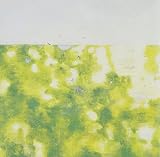 �����ȗ�