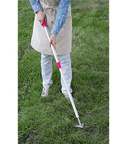 ※ 美品 ※浅草キッド Amazon | 浅香工業(Asaka Kougyou) 草抜き 金象 070049 本体