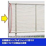 YKK ap　シンプレオフェンスST1型　端部カバー　T100用　（2本入り）　【フェンスオプション】 　プラチナステン