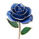 NHsunray 誕生日、ガールフレンド、母の日、結婚記念日、クリスマスのためのロマンチックなパーソナライズされた愛するギフト、彼女のためのバレンタインギフト、ロングステム (青)