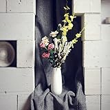 White Tall Ceramic Flower Vase Home Decoration Ceramic Craft 7.7 Inch Height [並行輸入品]