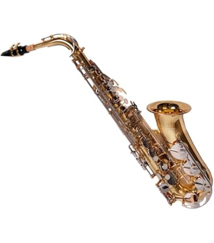 Amazon.co.jp: YAMAHA アルトサックス YAS-475 : 楽器・音響機器