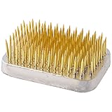 自然 剣山 角 豆