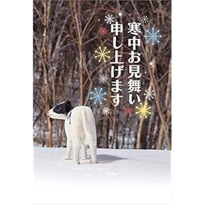 【私製10枚】寒中見舞いはがき【切手なし/裏面印刷済み/ポストカード】WB906-10