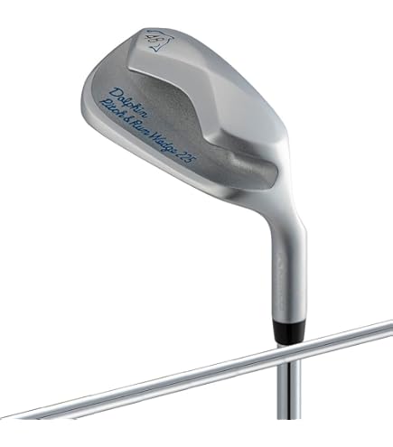 Amazon.co.jp: PRGR (Progia) R-35 WEDGE ST 35 GOE35 : Sports & Outdoors