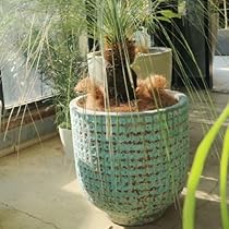 古い鉢 古いこね鉢 幅35cm 古瀬戸 美色 メダカ鉢 金魚鉢 睡蓮鉢