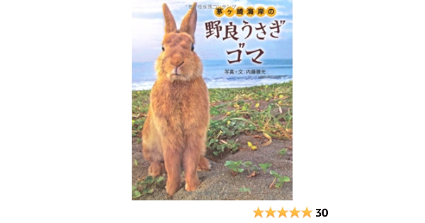 Amazon Co Jp 茅ヶ崎海岸の野良うさぎ ゴマ 内藤 雅光 本