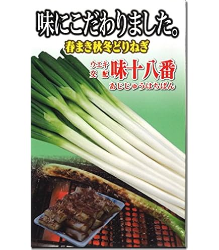 Amazon.co.jp: トキタ種苗 ネギ なべちゃんゴールド : DIY・工具・ガーデン