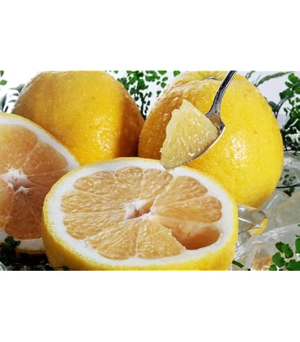 GABO様分　愛媛県産　河内晩柑　防腐剤不使用 【超訳あり】　40kg(箱込) Amazon.co.jp: 【国産 河内晩柑】愛媛 長谷農園 (訳あり 10kg 箱入り