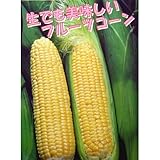 とうもろこし 種 【 サニーショコラ 】 種子 小袋（約200粒）