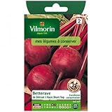 【種子】【Vilmorin社】ビーツ　de Detroit3 Race Chort Top