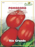 野菜の種 イタリアントマト・リオグランデ