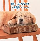 �����A���앶�w�`�N�ǁ` �x�X�g