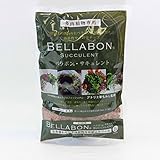 ベラボン・サキュレント1リットル入り 3個セット ノーブランド品