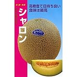メロン 種 【 シャロン 】 種子 小袋（約7粒）