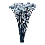 大地農園 プリザーブドフラワー ボタンフラワー(22g入り) DO030163-400