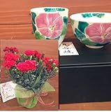 カーネーションの鉢植え＆九谷焼ご飯茶碗＆ゆのみ＊むくげ（ピンク）セット