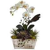 Nearly Natural 1326 Orchid and Succulent Garden with White Wash Planter, White by Nearly Natural [並行