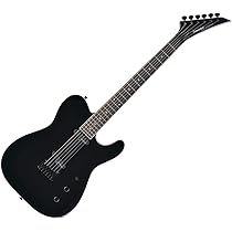 Amazon | FERNANDES フェルナンデス エレキギター TEJ-STD 2S 