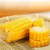 50 maize seeds Vegetables yellow fruit raw corn very taste easy-growing
