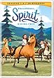 Spirit: Riding Free - Seasons 1-4 [DVD]