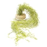 GREENPARK スパニッシュモス ガラストラぺゾイド エコストーン 造花 フェイクグリーン