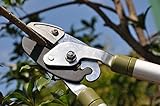 Worth Garden Long Reach Anvil Lopper, Branches Trimmer, Long Arm Pruner w/ Antirust Blade, Extendibl
