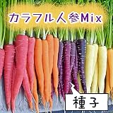 ウクレレ園芸SHOP カラフル人参Mix 種子1ml330円 赤、紫、黄、白、オレンジ、クリーム色 計6色 にんじんの種ミックス ガーデニング 家庭菜園 観葉植物 希少野菜