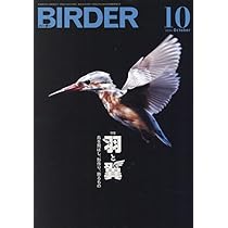 美品【BIRDER】2024年 2569897_n.jpg