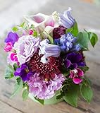 アレンジメントフラワー 生花 ギフト Sサイズ イメージ(シック)大臣賞受賞デザイナー おまかせアレンジメント